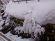 20080112-wengen-a-123.jpg