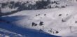 20080113-wengen-0902.jpg