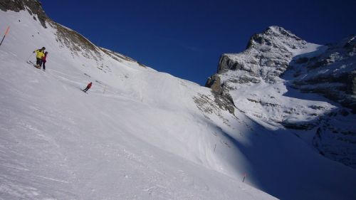 20. Januar 2008
