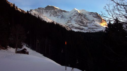 SB Innerwengen, Silberhorn, Jungfrau
