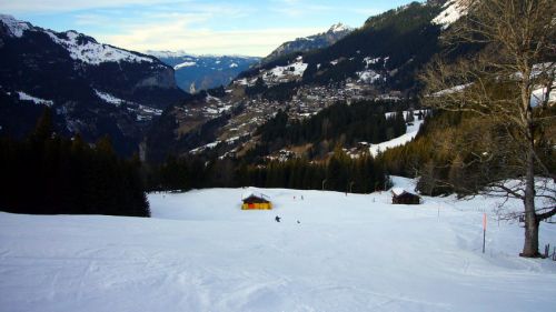 26. Januar 2008
