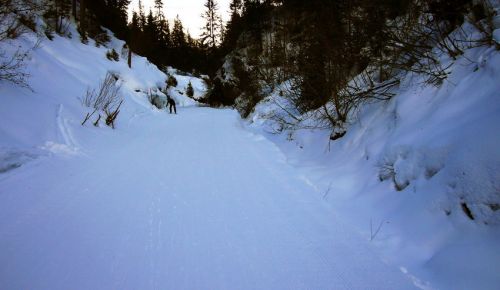 27. Januar 2008 - lustige kleine Piste, landschaftlich sehr anmächelig!
