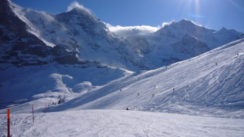 3. Februar 2008
