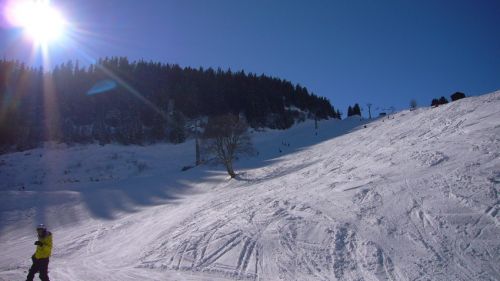 8. Februar 2008
