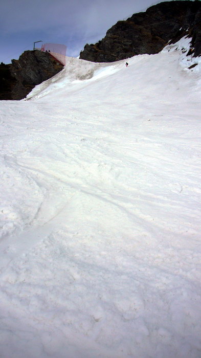 2. März 2008, Hundschopf
