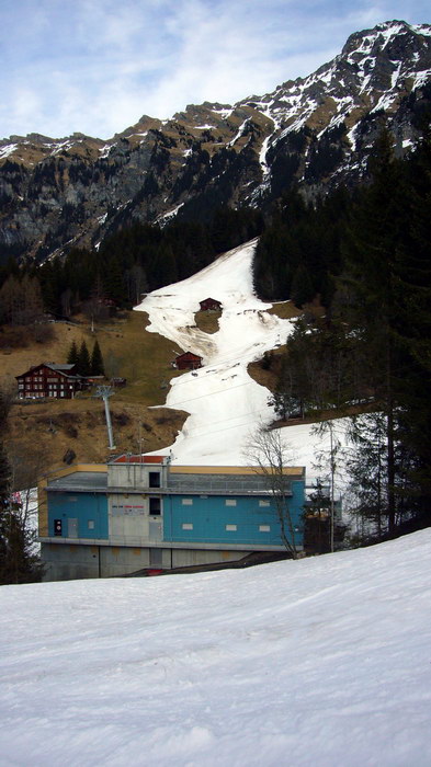 Auch der Slalomhang wird wohl nicht mehr lange bestehen - ausser der angekündigte Neuschnee kommt wirklich heftig!
