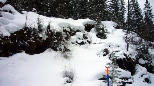 8. März 2008
