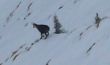 20080307-wengen-0819.jpg