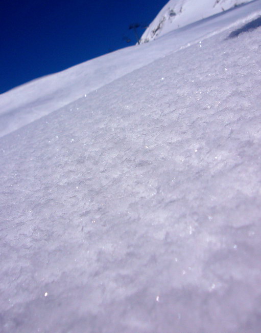 24. März 2008
