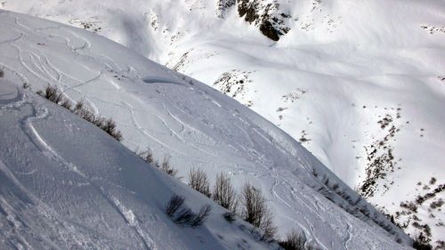 22. März 2008
