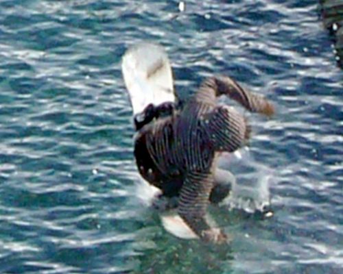 22. März 2008
