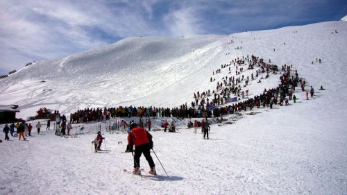 Waterslide Contest 2008
