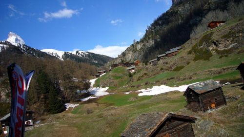 Frühling bis weit hinauf
