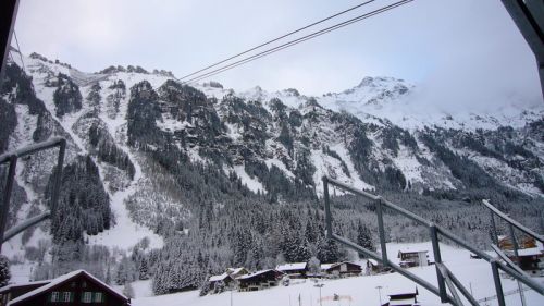 7. Dezember 2008
