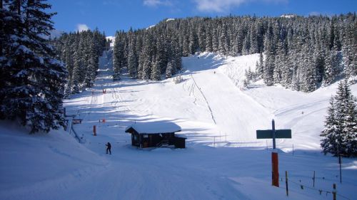 7. Dezember 2008
