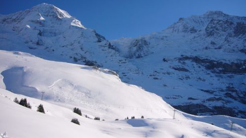 7. Dezember 2008
