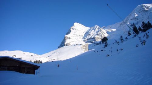 7. Dezember 2008
