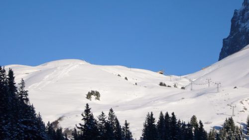 7. Dezember 2008
