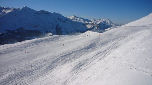7. Dezember 2008
