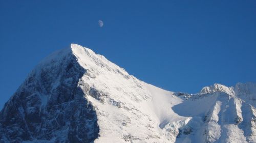 Eiger & Mond
