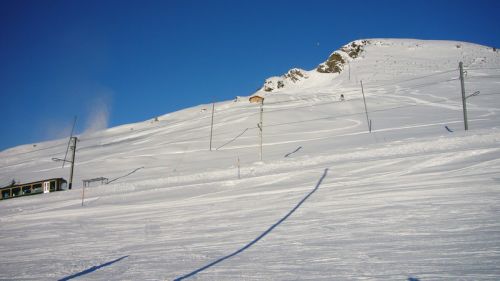 7. Dezember 2008
