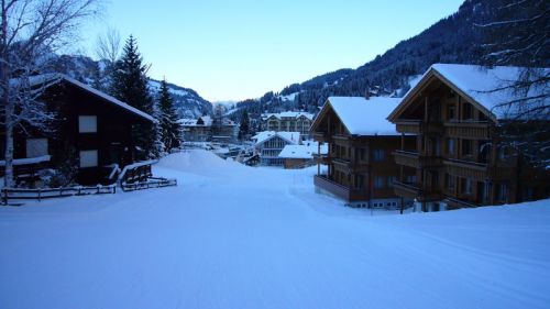 7. Dezember 2008
