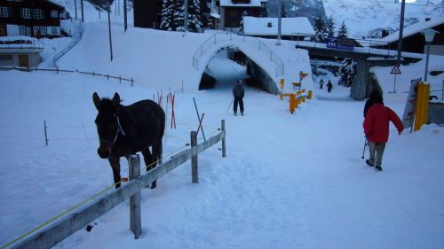 Der neue Skitunnel in Wengen
