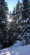 20081207-ski-wengen-0352.jpg