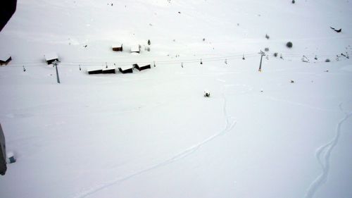 13. Dezember 2008
