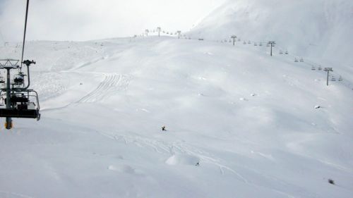 13. Dezember 2008
