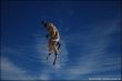 20081224-b-sedrun-3184.jpg
