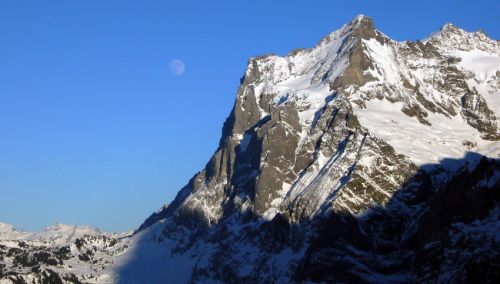9. Januar 2009
