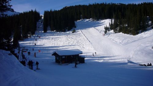 10. Januar 2009
