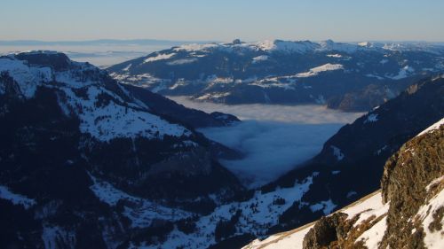 10. Januar 2009
