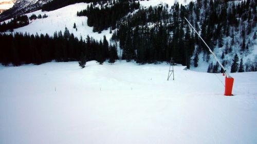 11. Januar 2009
