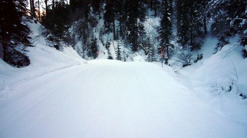 11. Januar 2009

