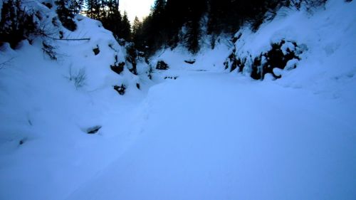 11. Januar 2009
