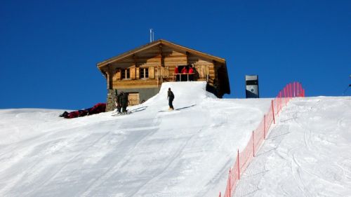11. Januar 2009
