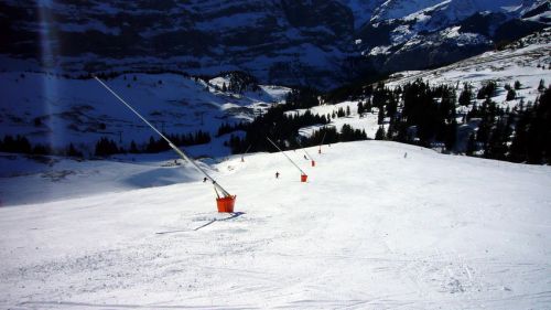 11. Januar 2009
