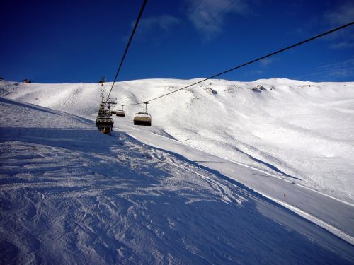 17. Januar 2009
