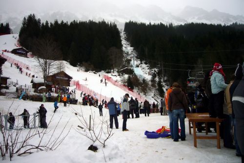 18. Januar 2009
