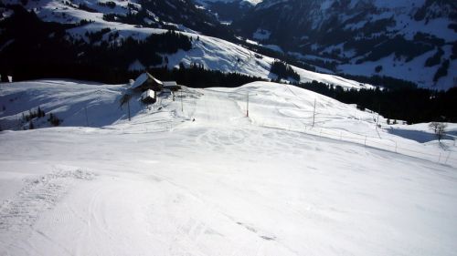 14. Januar 2009
