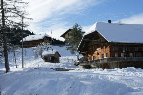 14. Januar 2009
