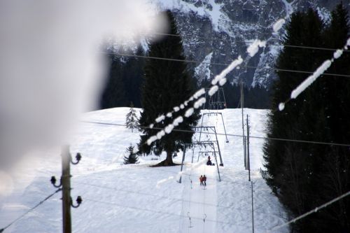 14. Januar 2009
