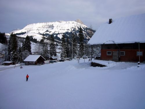14. Januar 2009

