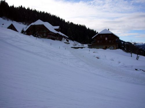 14. Januar 2009
