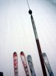 20090114-e-bumbach-0856.jpg
