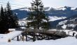 20090114-e-bumbach-0894.jpg