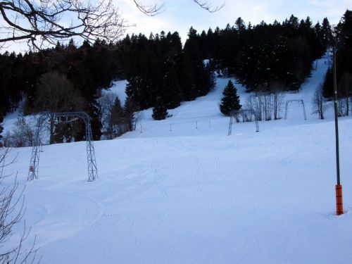 16. Januar 2009
