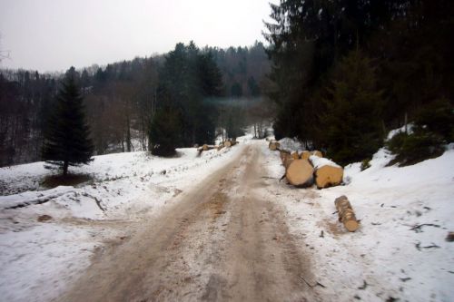 Der Feldweg wird schlechter; mit einem normalen Auto wäre das Durchkommen nicht so einfach
